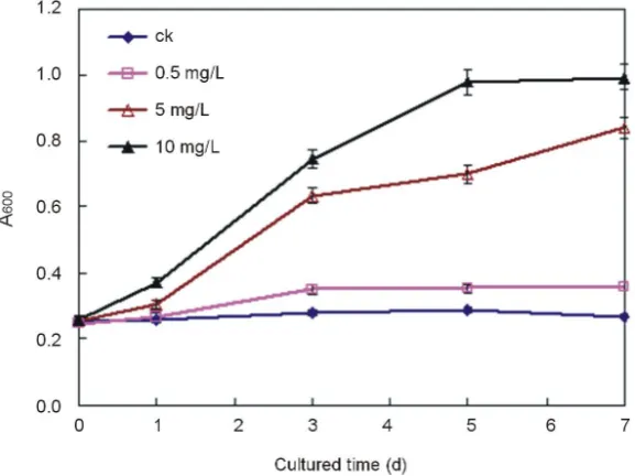 Figure 5. Effect of Ce4+ on the membrane permeability as demonstrated by Evans blue staining of rice in the seedling hydroponic cultures