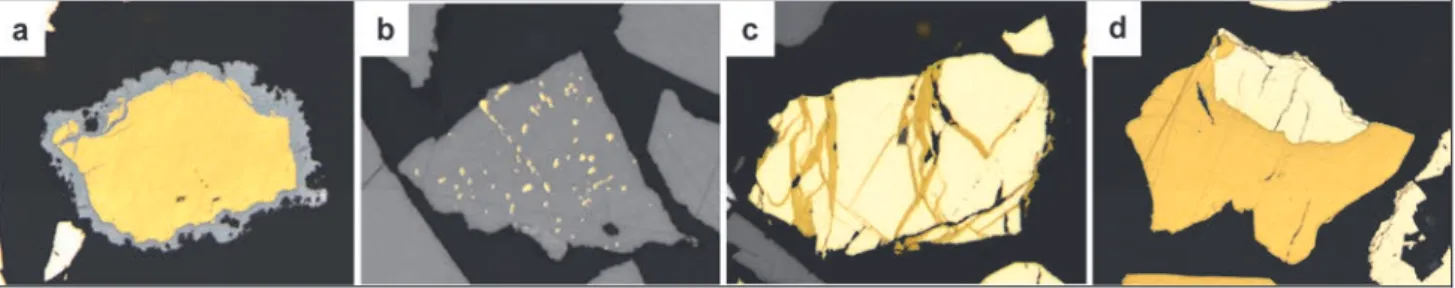 Fig. 1. Real ore particles to illustrate typical intergrowths described by Gaudin as the most relevant in flotation  (a: coated; b: emulsion; c: stockwork; d: simple)