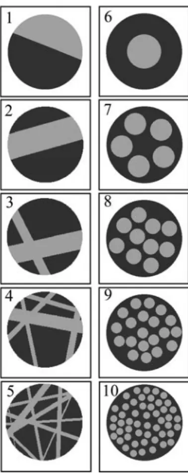 Fig. 2. Synthetic particles: from simple to branching  veins (1 to 5) and from one inclusion to multiple  in-clusions (6 to 10)