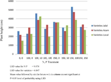 Figure 4. Plant height (cm) of maize varieties as affected by N and P levels.                     