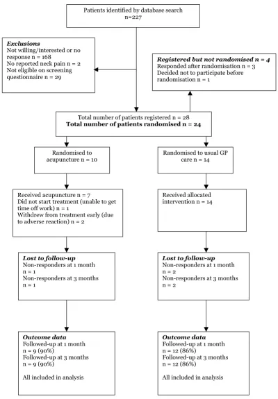 Figure 1Patients' progress through the trial