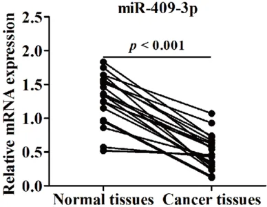 Figure 1. The relative expression levels of miR-409-3p in 20 paired endometrial carcinoma tissues and adjacent non-cancerous tissues were assessed by qRT-PCR.