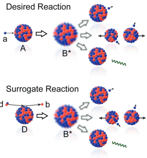 Fig. 1. Schematic representation of the “desired” (top) and “surrogate” (bottom) reaction mechanisms [4]