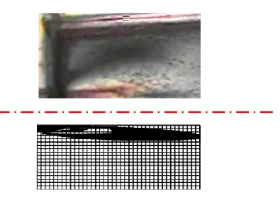 Figure  8. Expected (Newtonian) and real (Plastic) relationship 