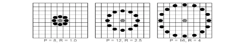 Fig 3:  Multi-scale Local Binary Pattern representation 