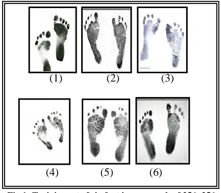 Fig 1: Training set of six foot images, each of 256×256    pixels size 