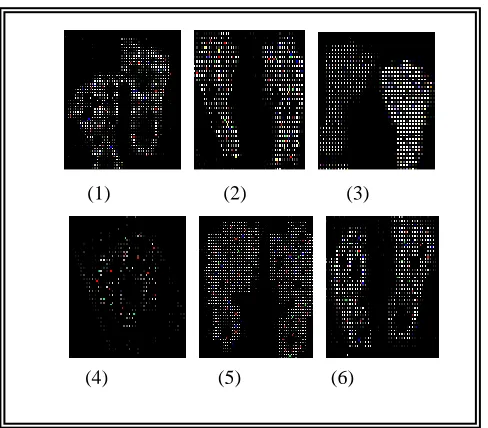 Fig 4: The training set of foot images plus an existed test foot to be                                                           ……………