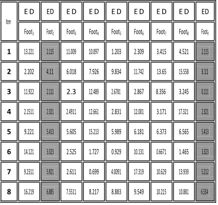 Table 3. Mean square Error between training set of Foot image and verify image 