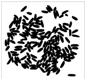 Fig. 7. Skeleton of the background image. (a) Binary image, (b) Background image skeleton (c) a over b.