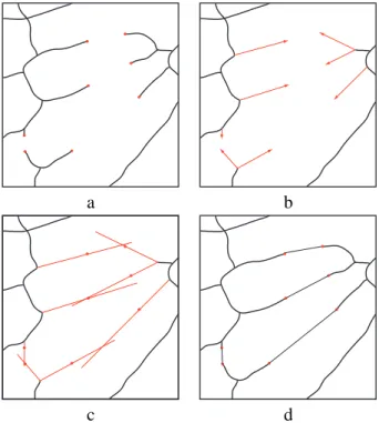 Fig. 8. Definition of the “U” structuring element and its first rotations.