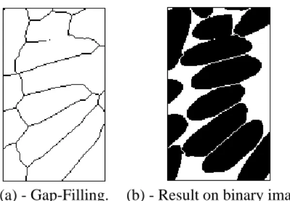 Fig. 14. Result of the segmentation obtained using the watershed transform on the distance function with markers corresponding to the h-minima of the distance function.