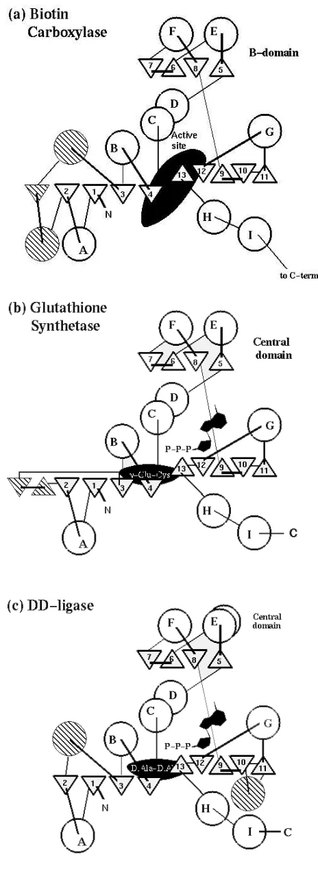 Figure 3.  