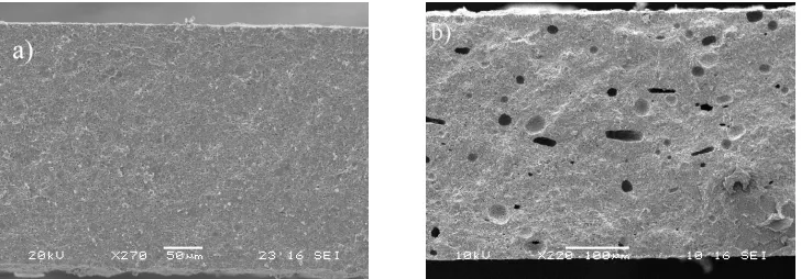 Fig. 3.4: Magnification of STD (a) and PF (b) anode after sintering. 
