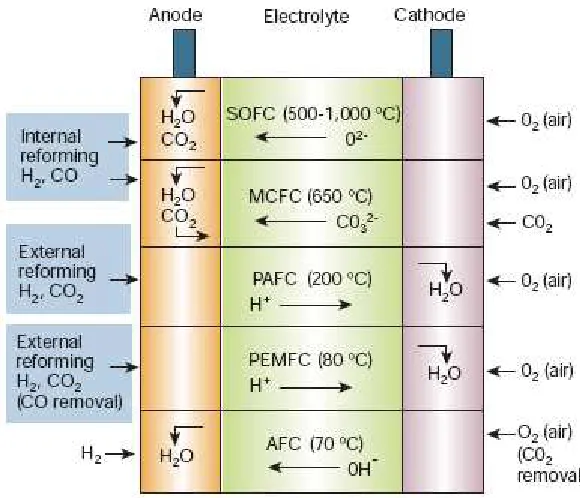 Fig. 1.1: Summary of fuel cells types [6]. 