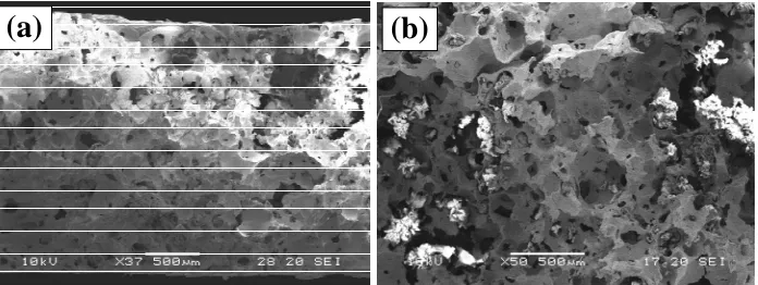 Fig. 3.2: Cross section of anode prepared with addition of PU foam (a) and its magnification (b)