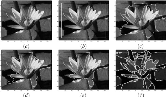 Fig. 8. Segmentation results of a water lily image using an active contour model: different iterations are displayed from (b) to (e), and (f) is the segmented image using our new approach.