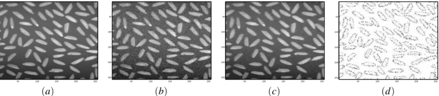 Fig. 1. Restoration and edge detection processes by the topological gradient approach: original image (a), (b) is the noisy image obtained by adding a Gaussian noise (σ = 20), (c) is the restored image, and (d) shows the detected edges