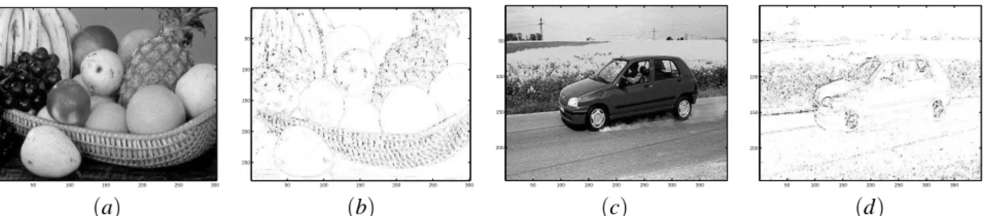 Fig. 5. Examples of real images: (a) is a fruit-basket original image, (b) shows the detected edges according to the topological gradient approach, (c) is a road scene original image, and (d) shows the detected edges using the topological gradient approach