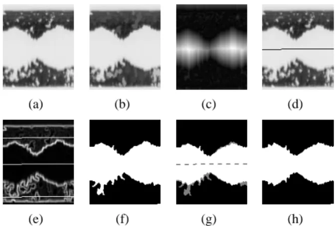 Fig. 2. Steps of the method proposed in (Brun et al., 2007). (a) Original image. (b) Opening by reconstruction