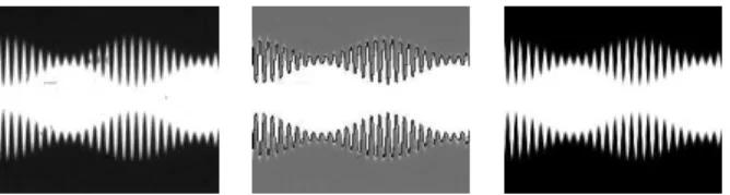 Fig. 11. Example with high frequency images. (a) Initial image. (b) Edges of the binary image with a brighter version of the original image