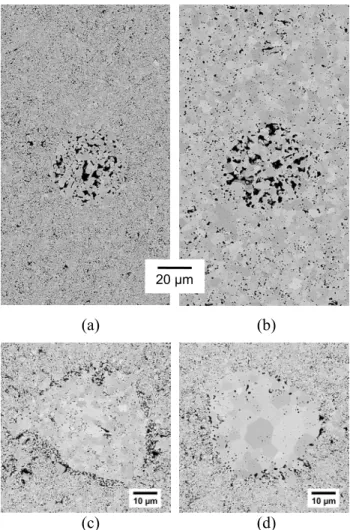 Fig. 1. Local microstructure for different defects and sintering conditions: (a) porous aggregate, 1500 °C, 1minute