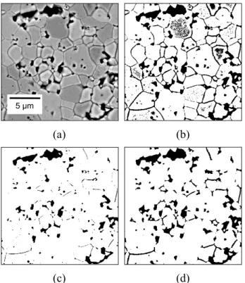 Fig. 3.  Segmentation of grain boundaries and final extraction of information from the grey level initial image of Fig