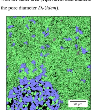 Fig. 7. Chart of grains sizes in and around a porous aggregate, with a two-color coding of grain sizes (large blue, small green).