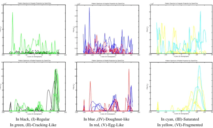 Fig. 5. Pattern spectra of angular projection, PS(n θ , P ρ (θ )), (top row) and pattern spectra of radial projection, PS(n ρ , P θ (ρ)), (bottom row) for a selection of representative spots of each typology.