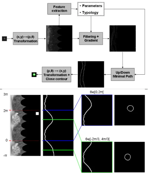 Fig. 7. Top, flowchart of algorithm for model-based spot segmentation in polar coordinates