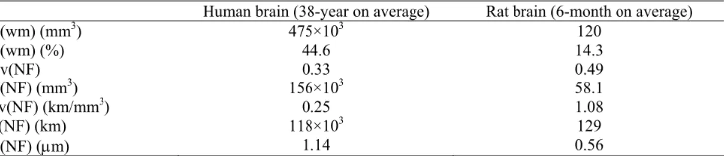 Table 2. The comparisons between young female human brain and young female rat brain. 