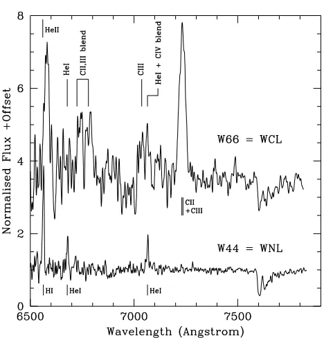 Fig. 2. R( band spectra of the 2 newly discovered WR stars in thecluster; Candidate L (=W44), a probable WN9 star and Candidate M=W66), a sixth WCL star (WC9).