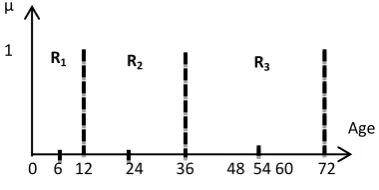 Fig 3: Three fuzzy regions for attribute Age. 