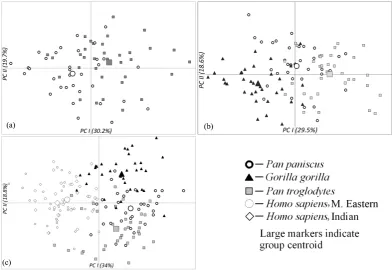 Figure 3. Principal component analysis of living species: (a) Analysis of the two Pan species; (b) Analysis of the three ape species; (c) Analysis of the two human groups with the ape species
