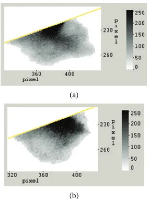 Fig 3. a) The input spray plume with the grey level  scale bar. b) The mirror spray plume about the  symmetry axis
