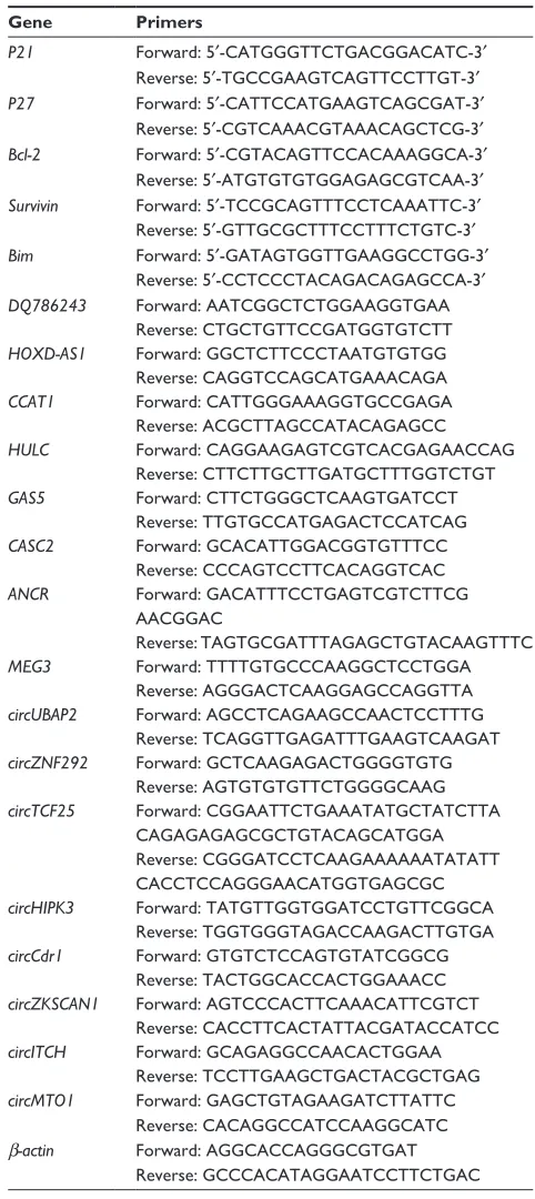 Table 1 Quantitative real time polymerase chain reaction primers in the experiments