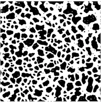 Fig. 6. A binary image (30  µ m pixel size), which is the results of maximization of the energy defined in Eq