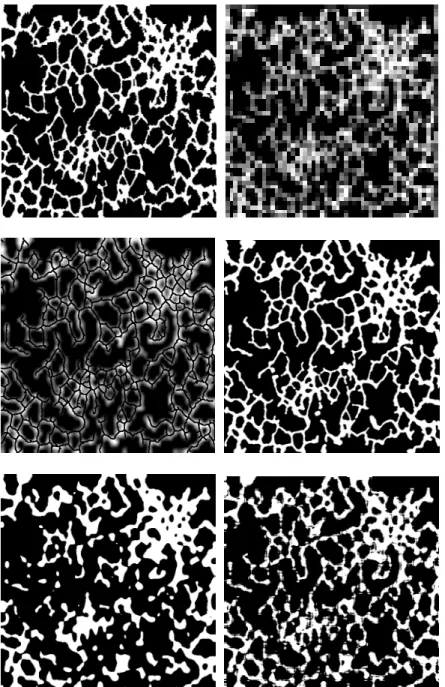 Fig. 10. A high- (top-left) and low-resolution (top-right) image of a low-thickness structure, its ridges (middle- (middle-left), lattice gas model (middle-right), global (bottom-left) and local (bottom-right ) thresholding restoration.