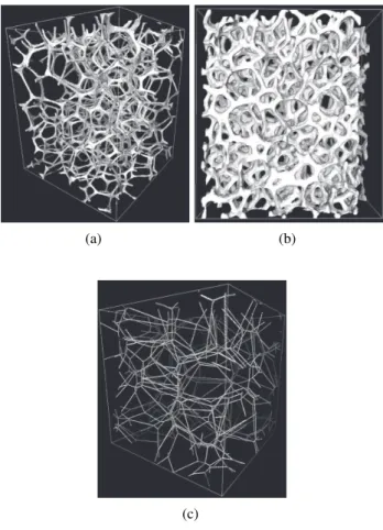 Fig. 1. Reconstructed tomographic images of a polymer foam (resolution 5 µ m) (a) and an open nickel foam (resolution 10 µ m) (b), visualization of the edge system of a Poisson Voronoi tessellation (c).