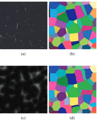 Fig. 3. 2D sections of the edge system of a Weaire Phelan foam (a), its cells (b), the distance image (c) and the reconstructed cells (d).