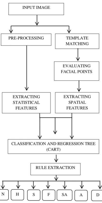 TABLE 1 DEDUCING ROI FROM THE INPUT FACE 