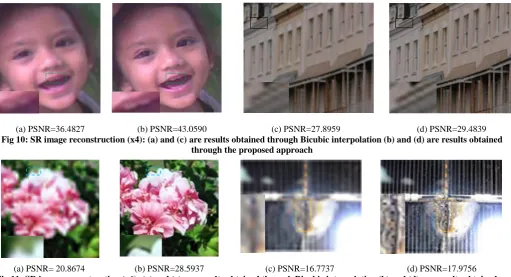 Fig 10: SR image reconstruction (x4): (a) and (c) are results obtained through Bicubic interpolation (b) and (d) are results obtained through the proposed approach  