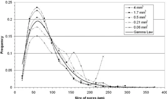 Fig. 5. Evolution of the distribution of the size of the pores with the size of the treated volume