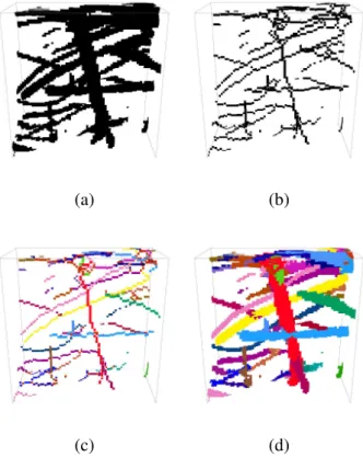 Fig. 15. Skeleton of a 2D simple image (a), segmentation results with full merging of branches adjacent to a 3-node (b) and with merging of only two branches adjacent to a 3-node (c)