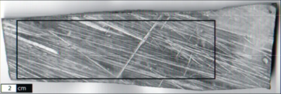 Fig. 1. Photograph displaying striae patterns on bedrock from Baillie-Hamilton Island, Arctic Canada