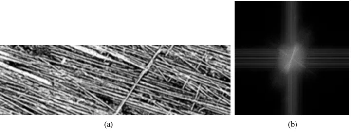 Fig. 2. (a) Spatial domain (image) highlighting the striae in Fig. 1 box; (b) the corresponding image in the Fourier domain.