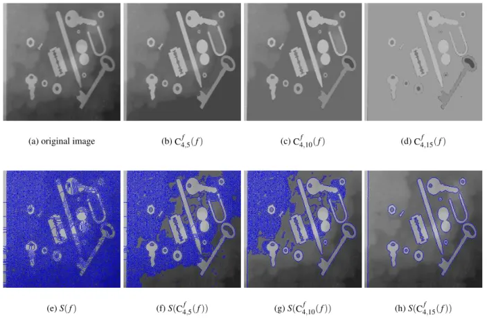 Fig. 9. Hierarchical pyramidal segmentation of the ‘Tools’ (a) image. First, the original image is decomposed using adaptive sequential closing filters (b-d)