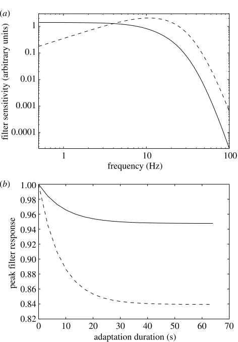 Figure 1. (auas a function of adaptation duration is illustrated for cases ofnear-optimal adaptation (i.e
