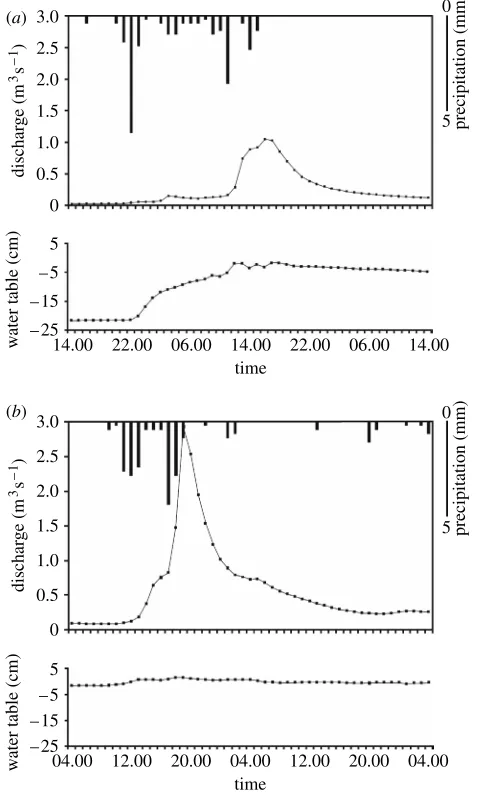 Figure 2. Hydrographs and water-table data from two storms in the Trout Beck catchmentillustrating the importance of near-surface water tables in generating runoff; (May 1996