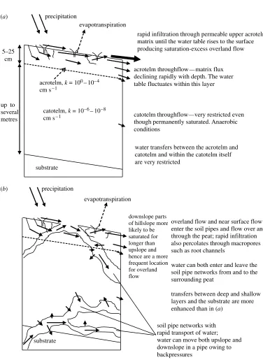 table fluctuates within this layer