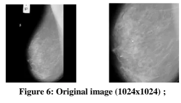 Figure 7(b) 